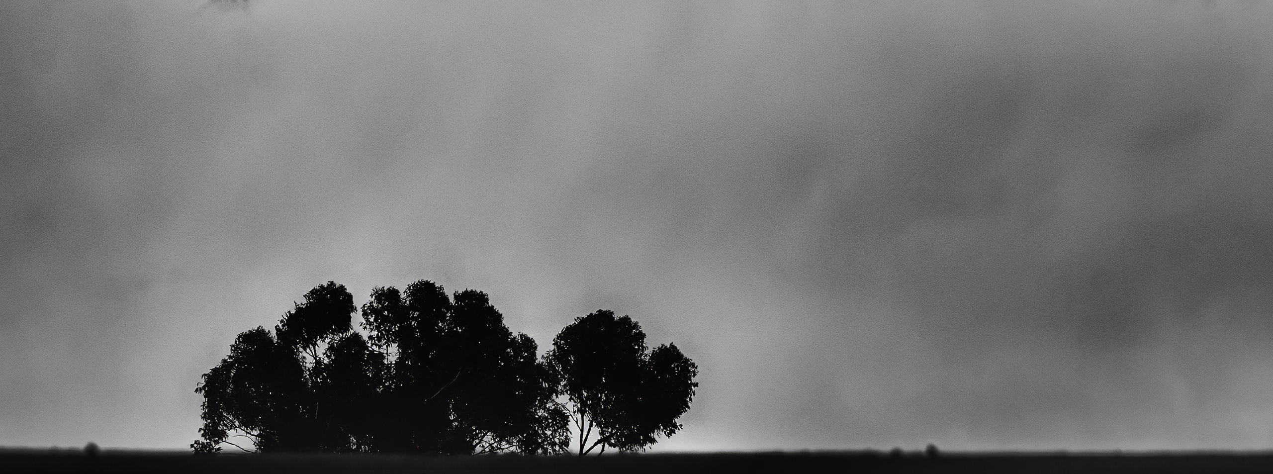 Nature Without Time section 01 secondary placeholder image bottom right