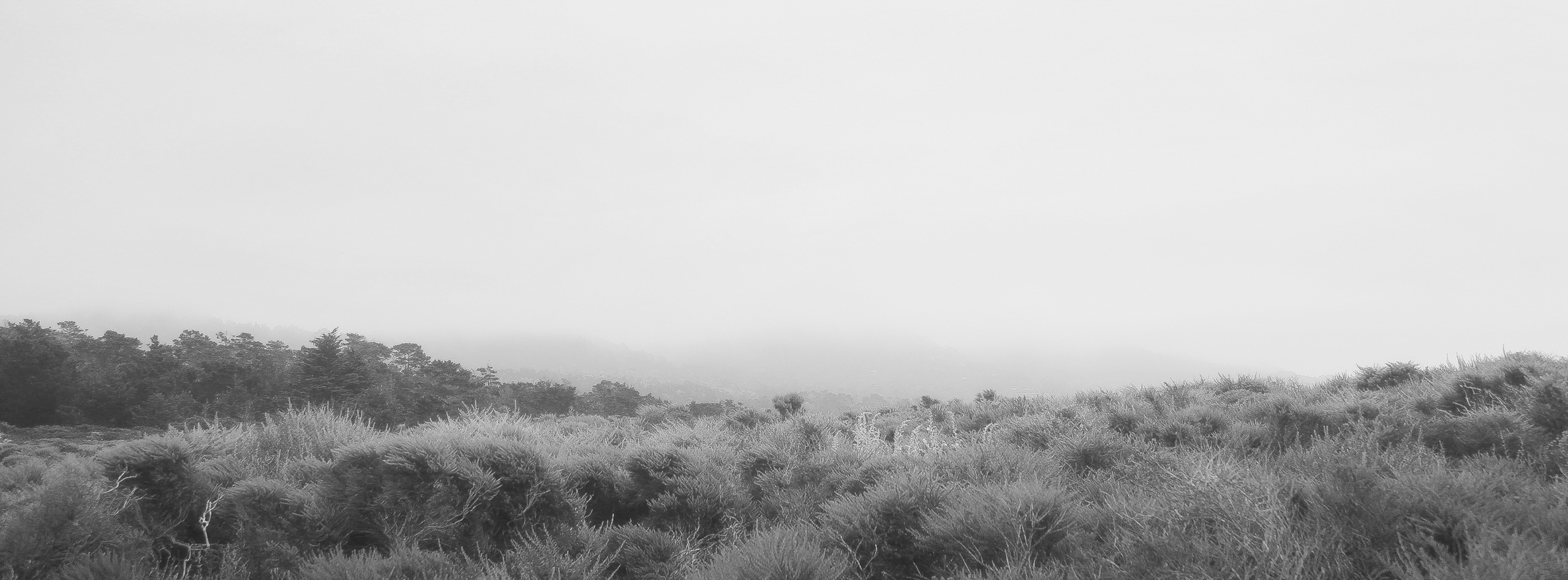 Nature Without Time category banner image