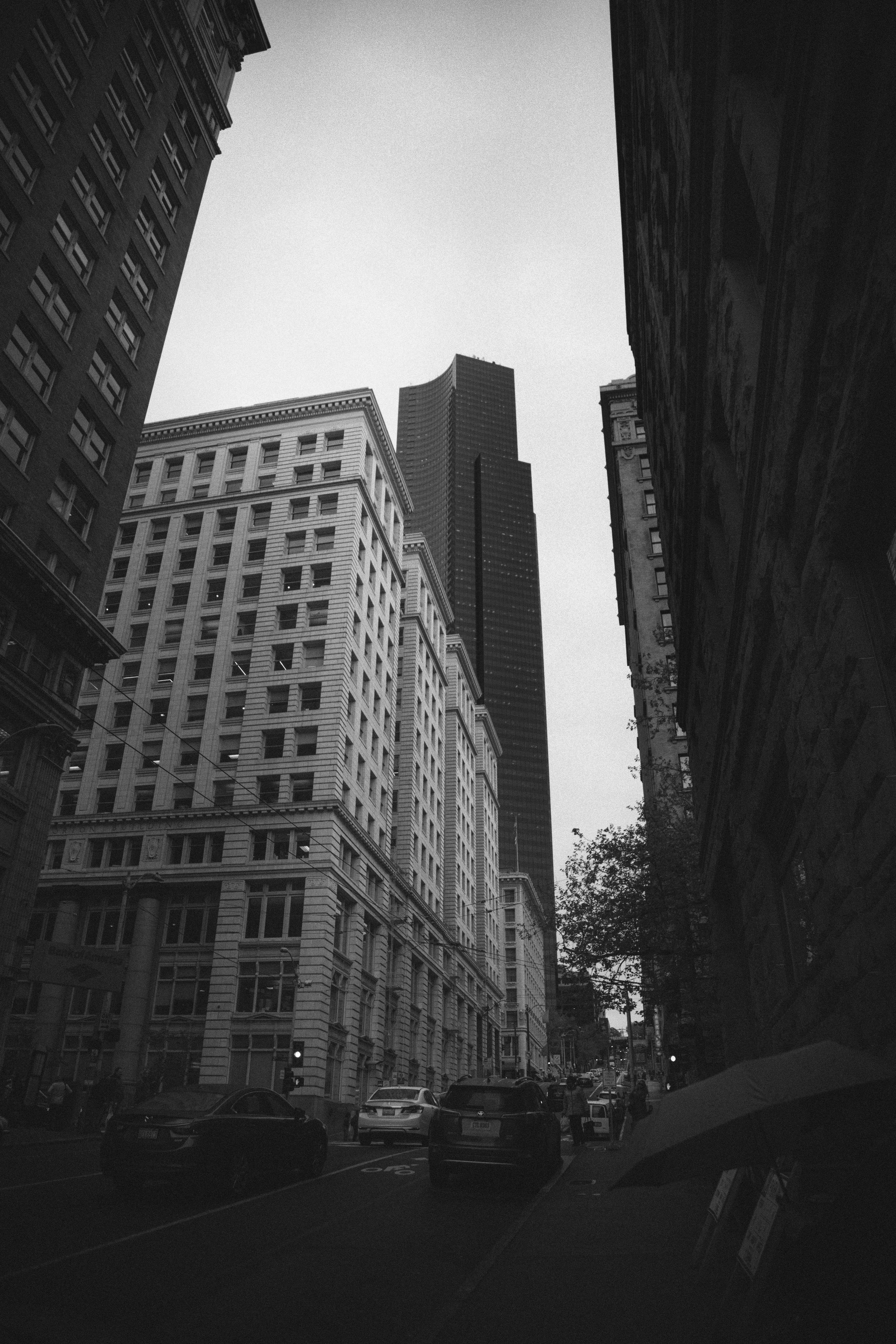 Structure of Silence section 01 center image