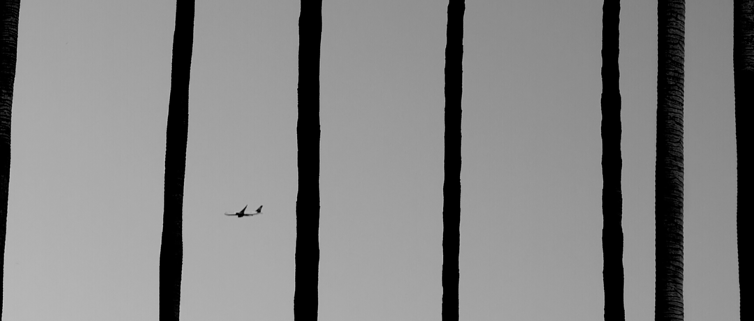 Structure of Silence section 02 image 05