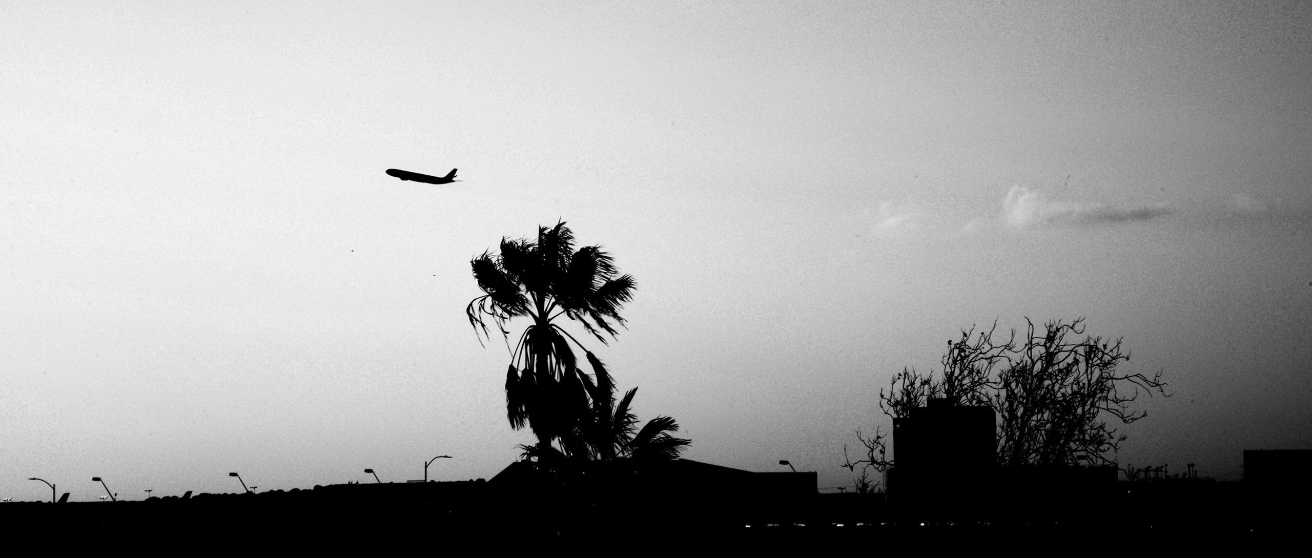 Structure of Silence section 04 image 02