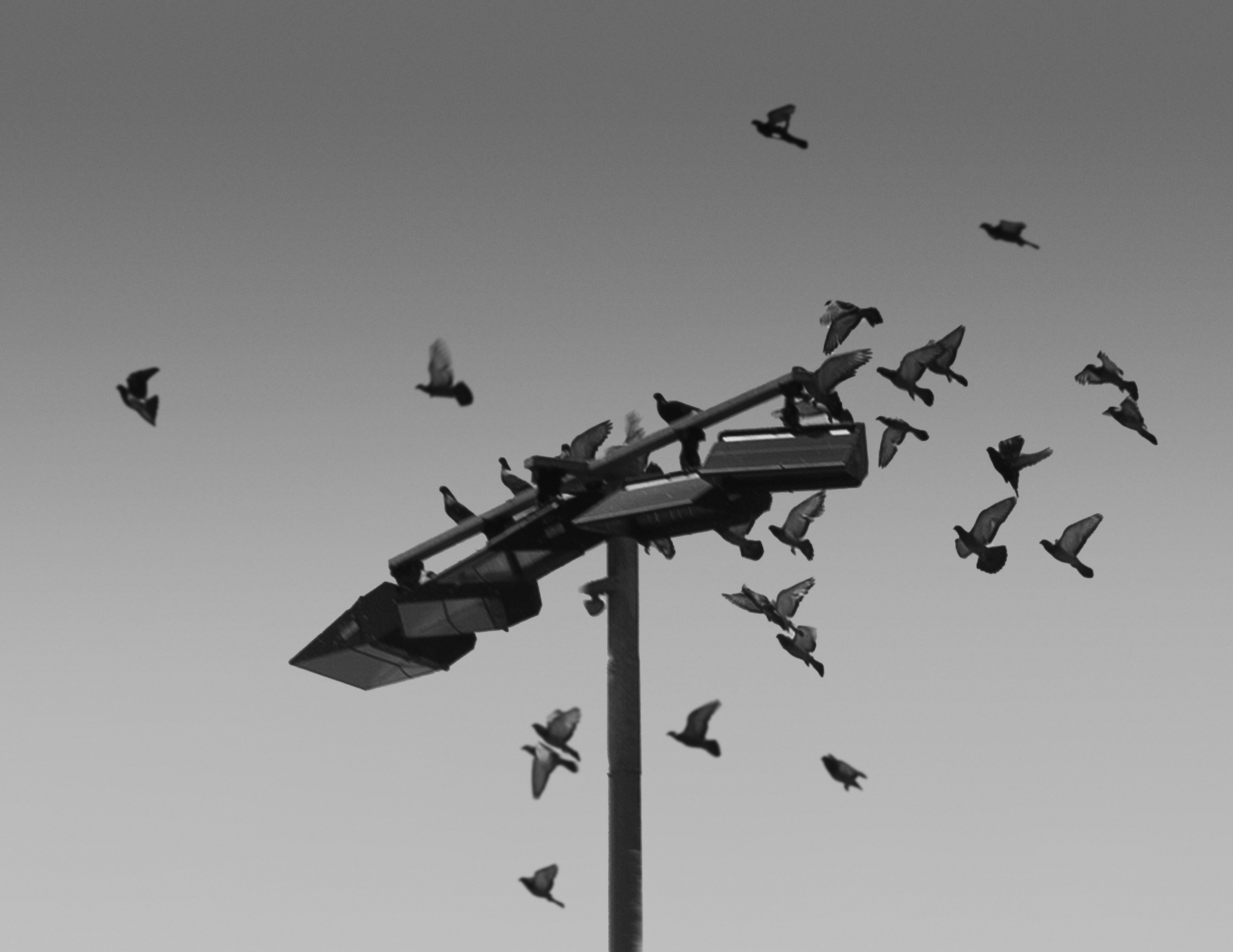 Traces of Presence section 03 image 03