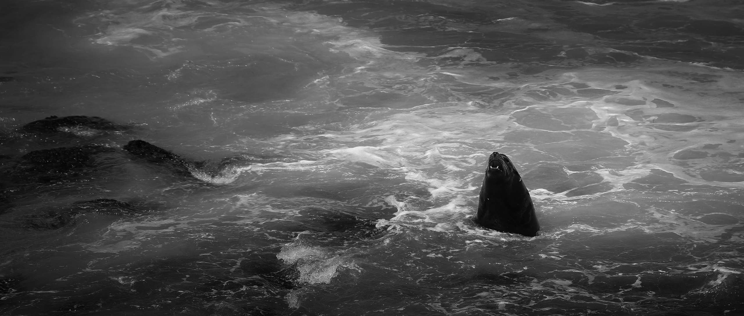 Traces of Presence section 03 image 04