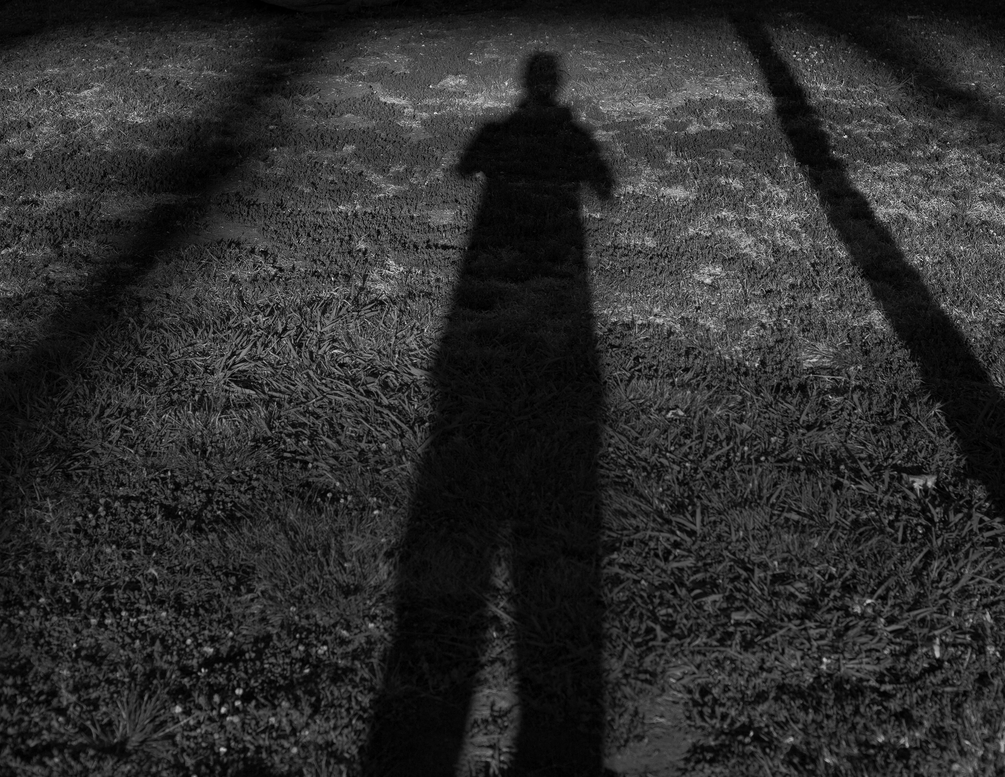 Traces of Presence section 01 bottom support image